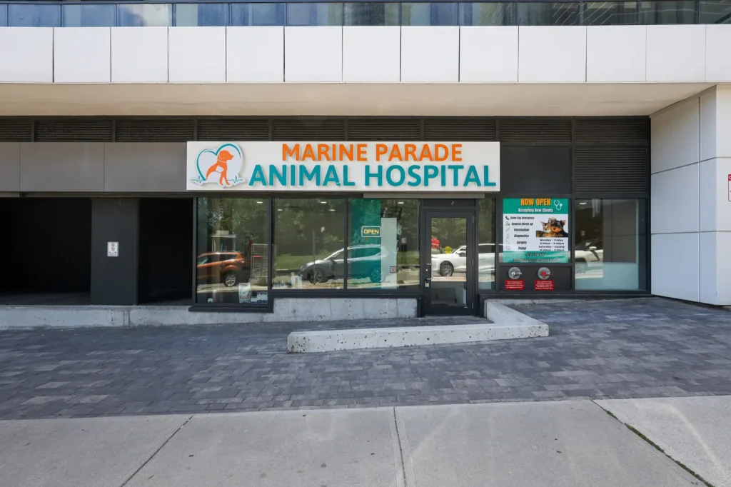 Marine Parade Animal Hospital — 1