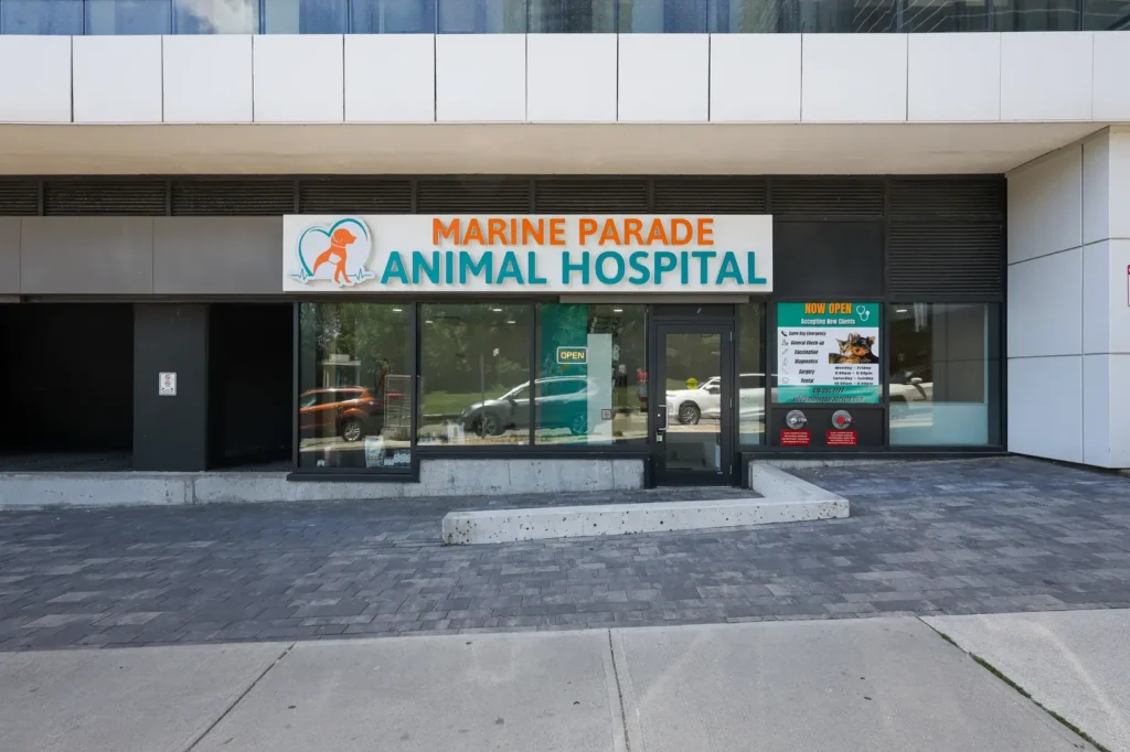 Marine Parade Animal Hospital — 2
