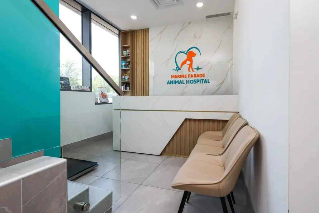 Marine Parade Animal Hospital — 4