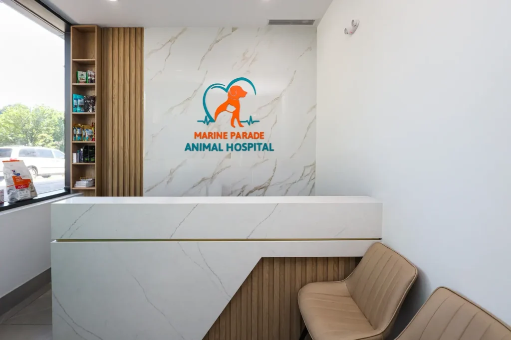 Marine Parade Animal Hospital — 5