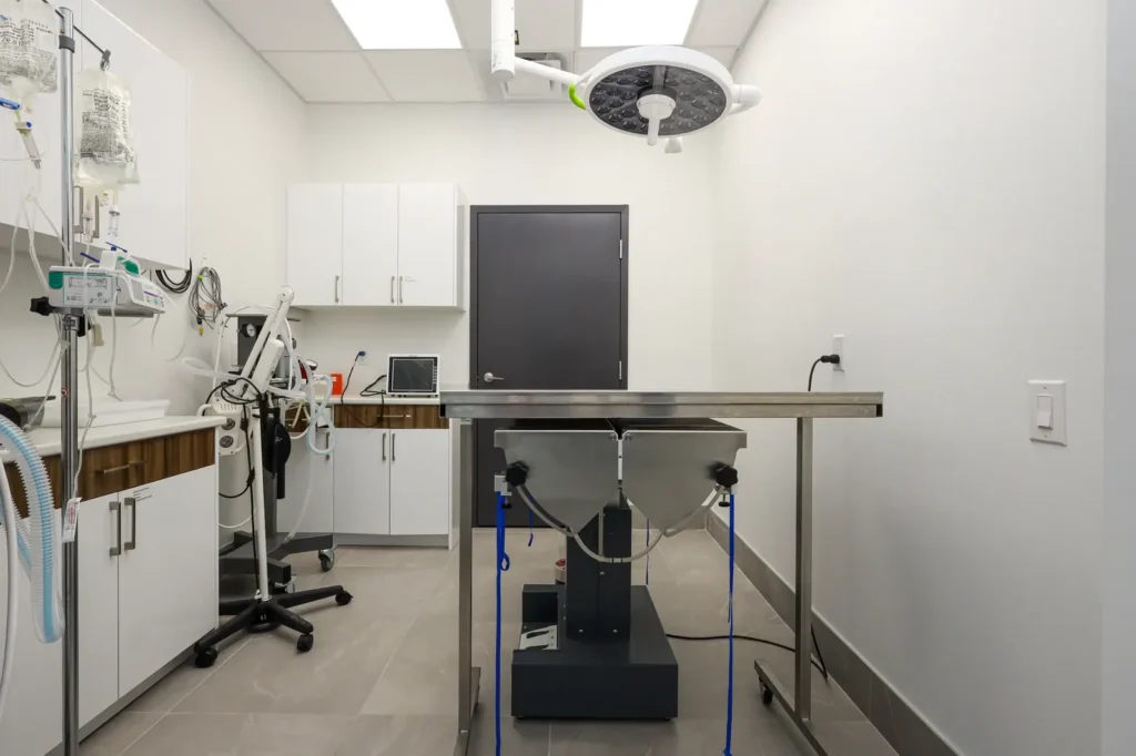 Marine Parade Animal Hospital — 8