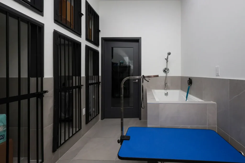 Marine Parade Animal Hospital — 10