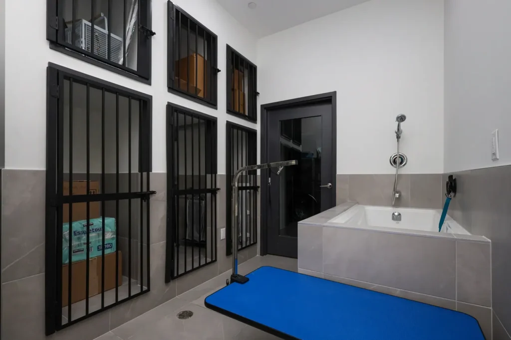 Marine Parade Animal Hospital — 11