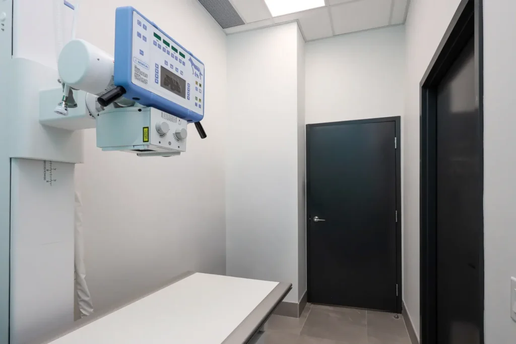 Marine Parade Animal Hospital — 14